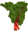 Chard: Red