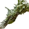 Herbs: Mixed Bundle