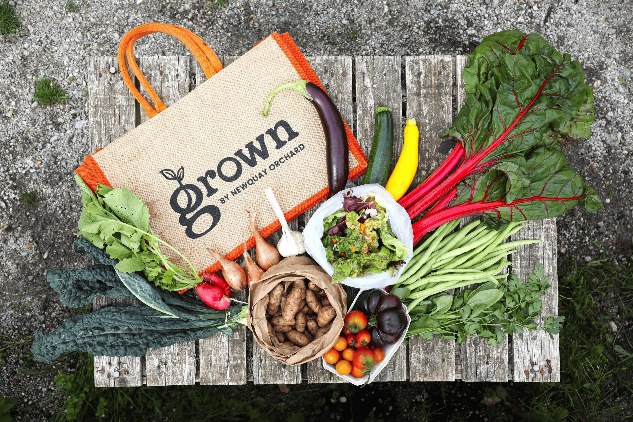 Weekly Medium Bag