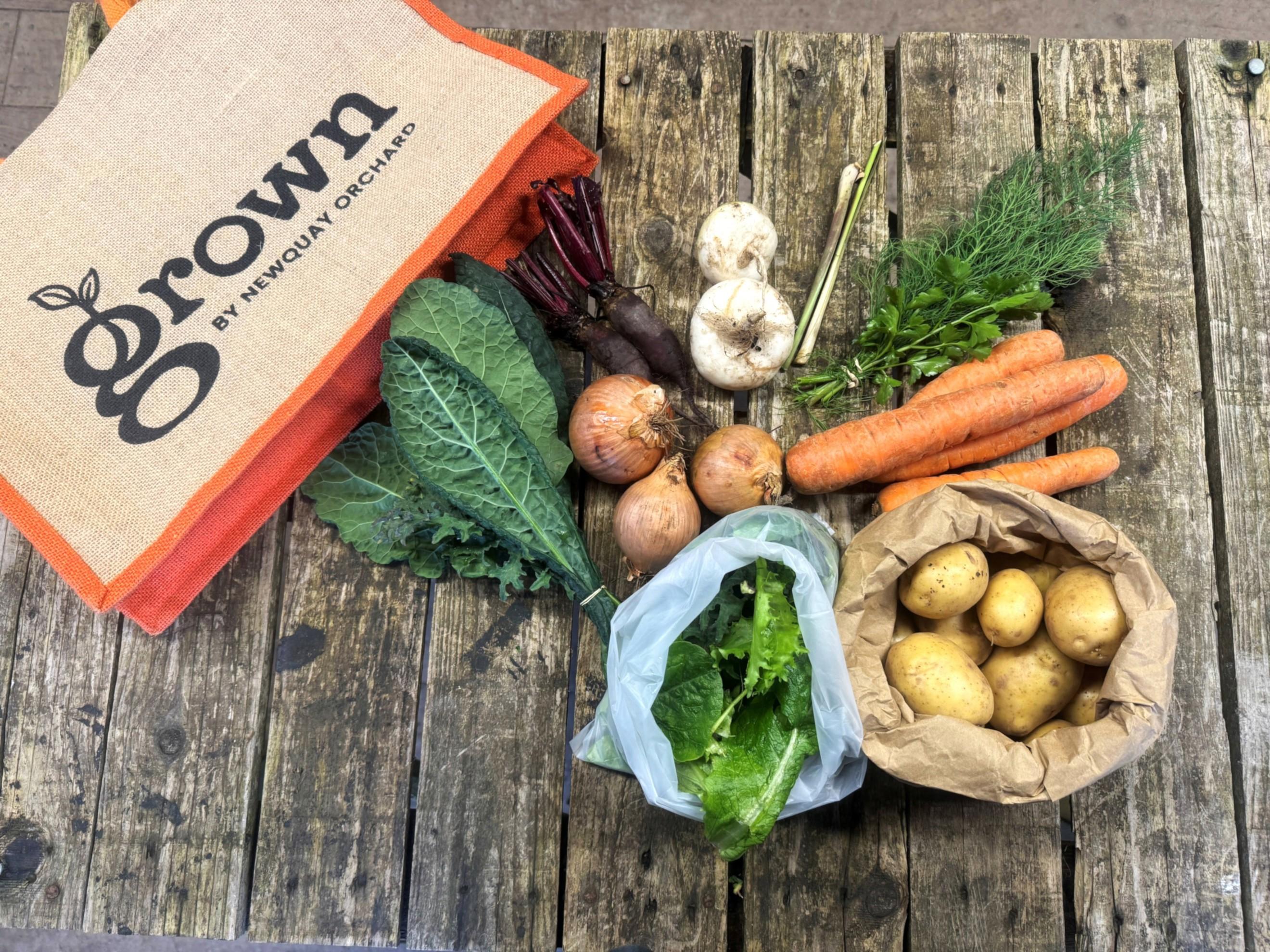 Weekly Medium Bag