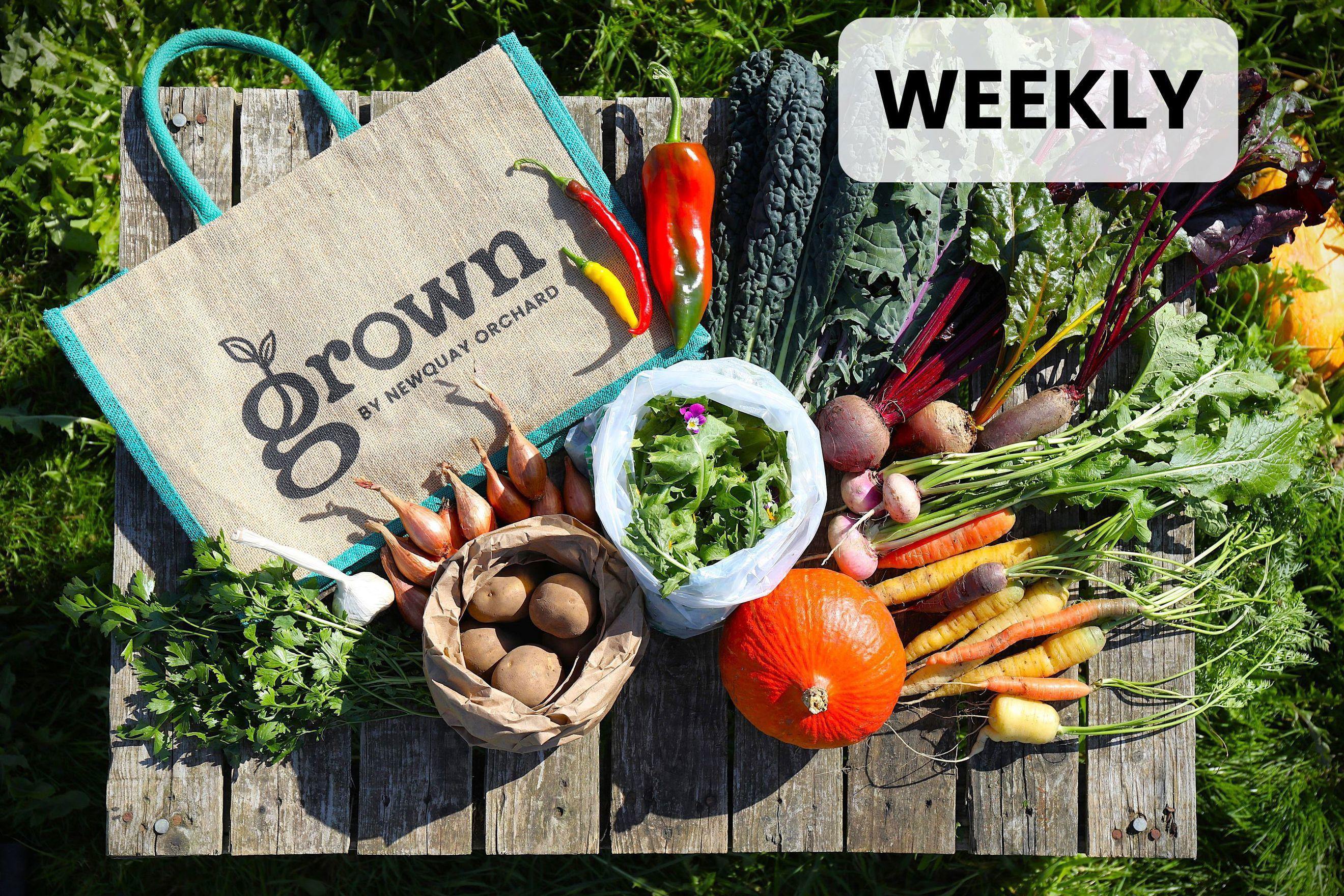Weekly Large Bag