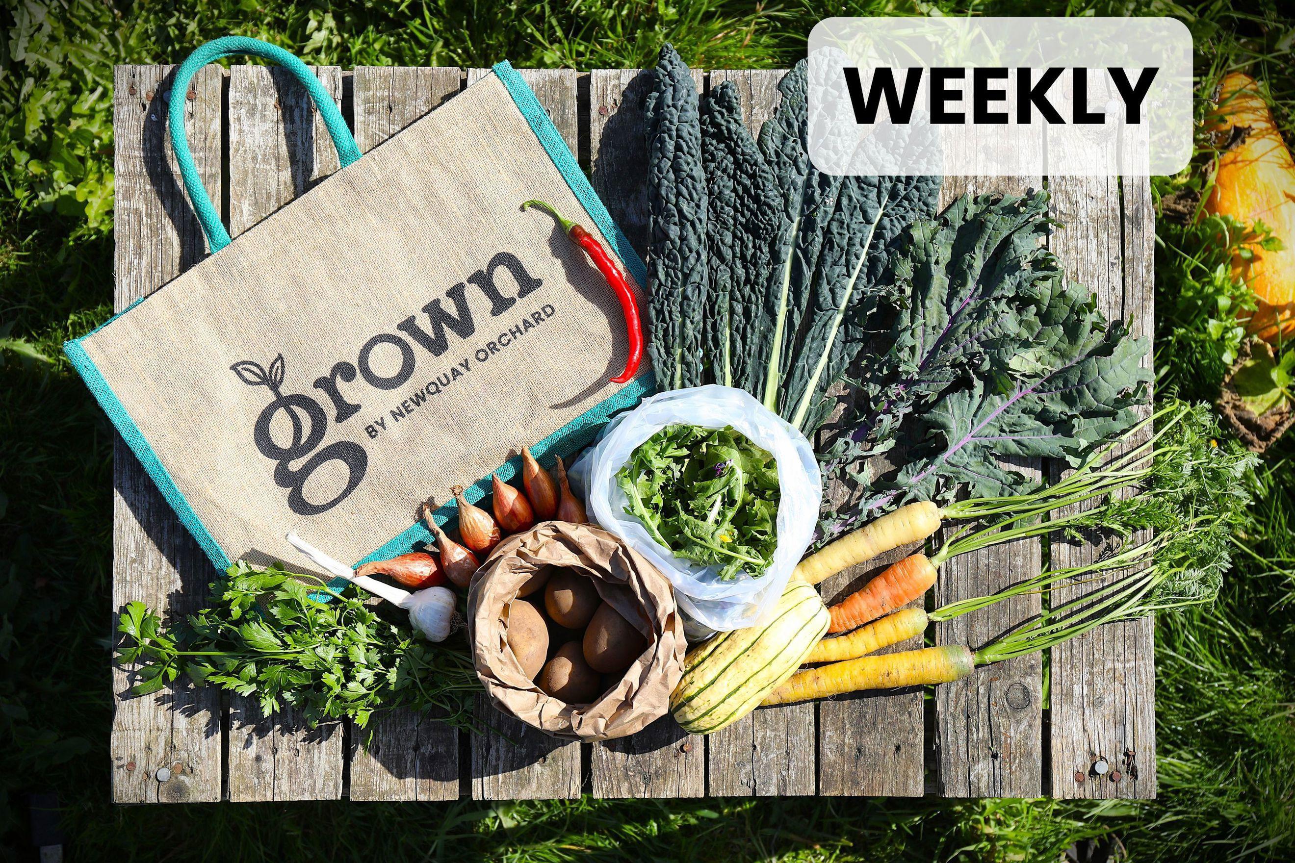 Weekly Small Bag